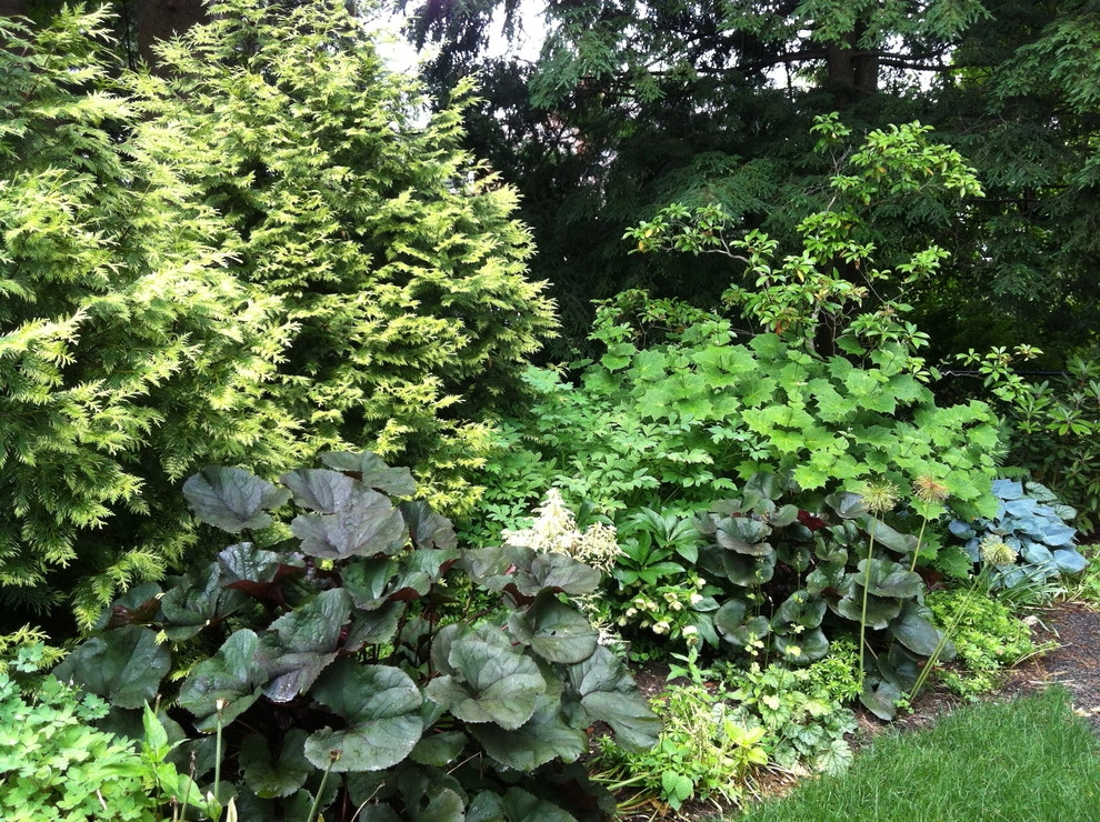 Brookline Borders by Natalie DeNormandie - Photo 9