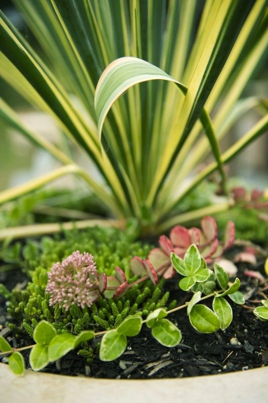 Edible Estate by Natalie DeNormandie - Photo 3