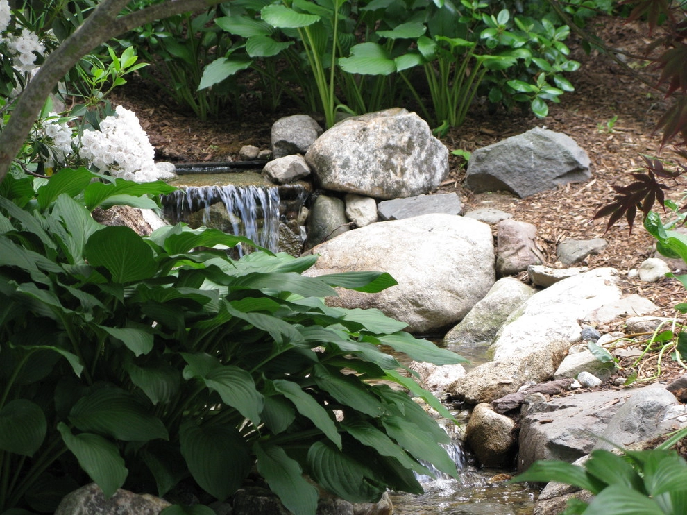 Newton Backyard by Natalie DeNormandie - Photo 4