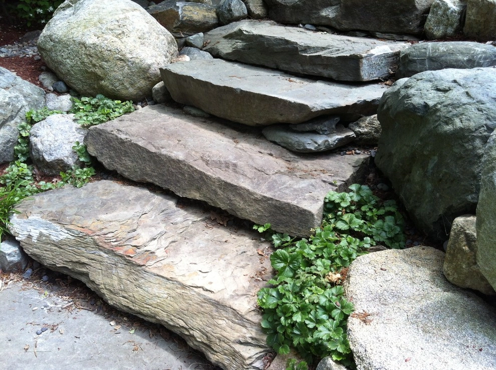 Newton Backyard by Natalie DeNormandie - Photo 3
