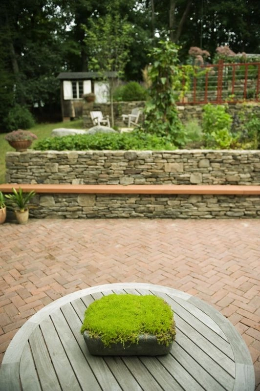Children's Edible Garden by Natalie DeNormandie - Photo 18