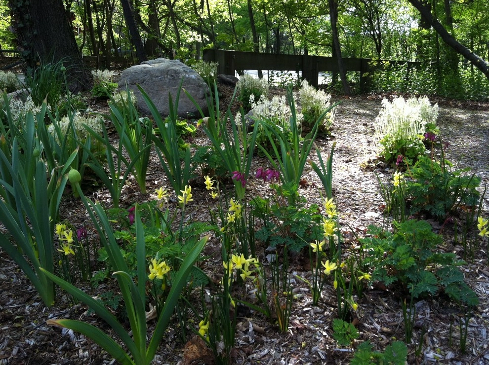 Newton Lower Falls Woodland Garden by Natalie DeNormandie - Photo 6