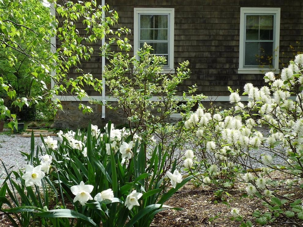 Brookline Borders by Natalie DeNormandie - Photo 4