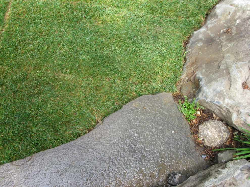 Newton Backyard by Natalie DeNormandie - Photo 5