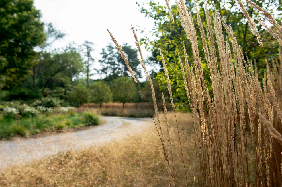 Edible Estate by Natalie DeNormandie - Photo 40