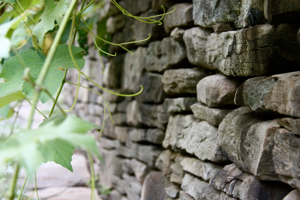 Children's Edible Garden by Natalie DeNormandie - Photo 9