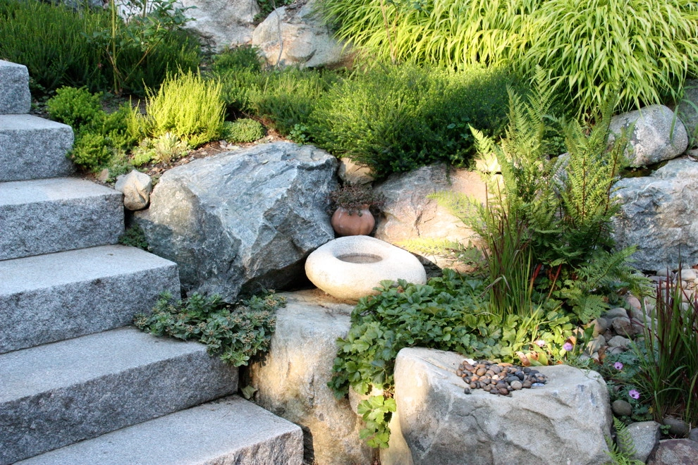 Children's Edible Garden by Natalie DeNormandie - Photo 2