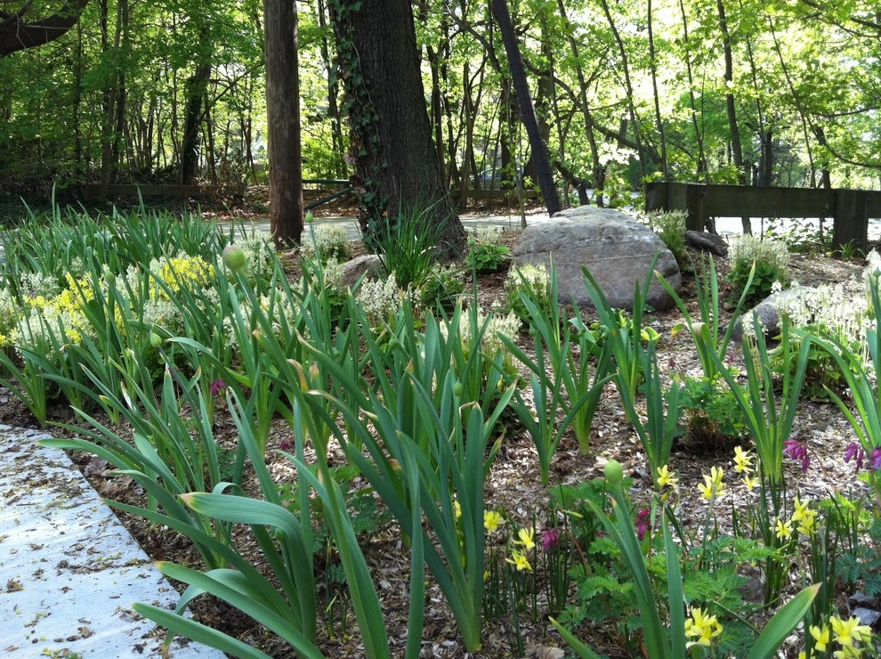 Newton Lower Falls Woodland Garden by Natalie DeNormandie - Photo 20