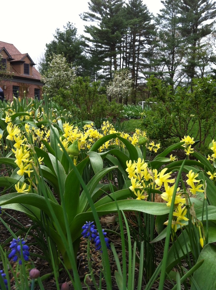 Edible Estate by Natalie DeNormandie - Photo 46