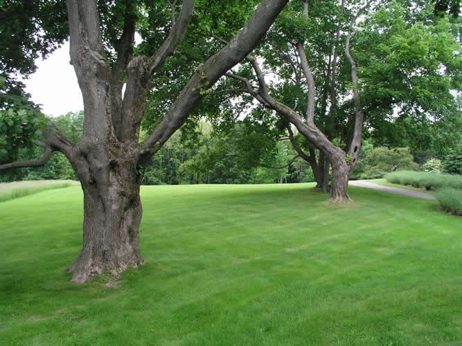 Onsite Design by Native Landscapes Inc - Photo 5