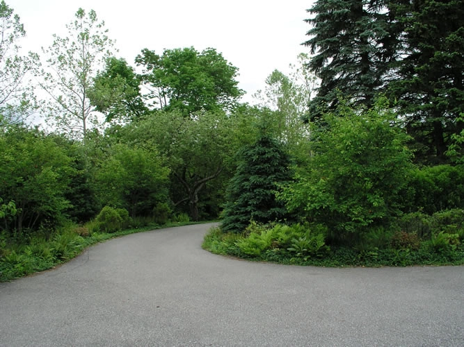 Native Landscapes Inc - Photo 6