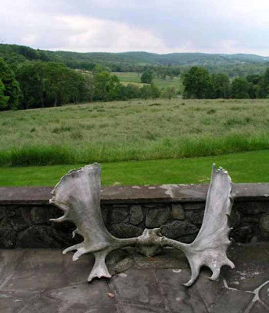 Onsite Design by Native Landscapes Inc - Photo 10