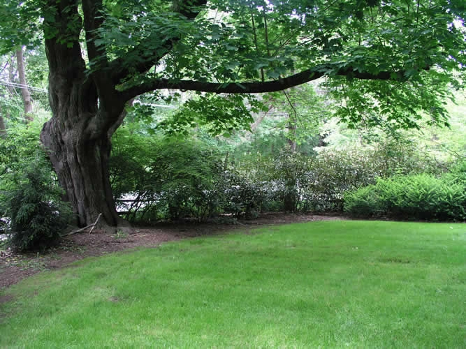 Onsite Design by Native Landscapes Inc - Photo 6
