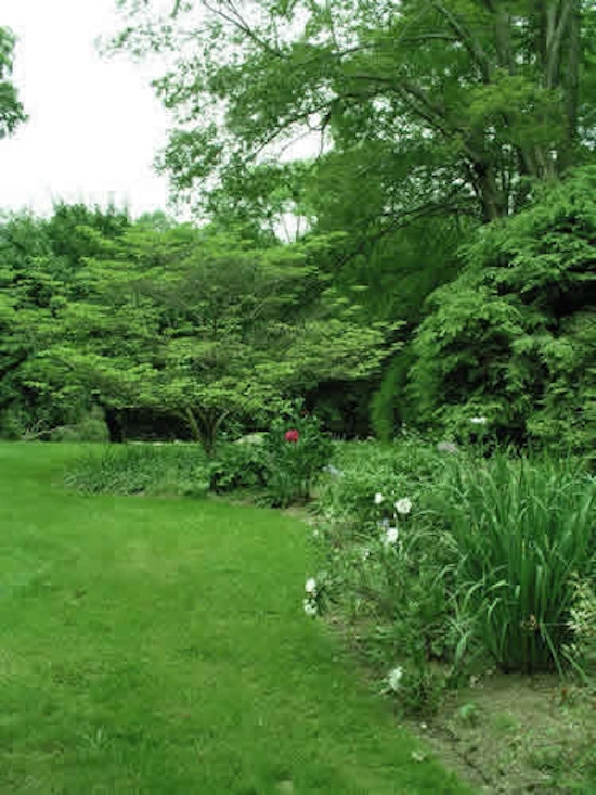 Onsite Design by Native Landscapes Inc - Photo 9
