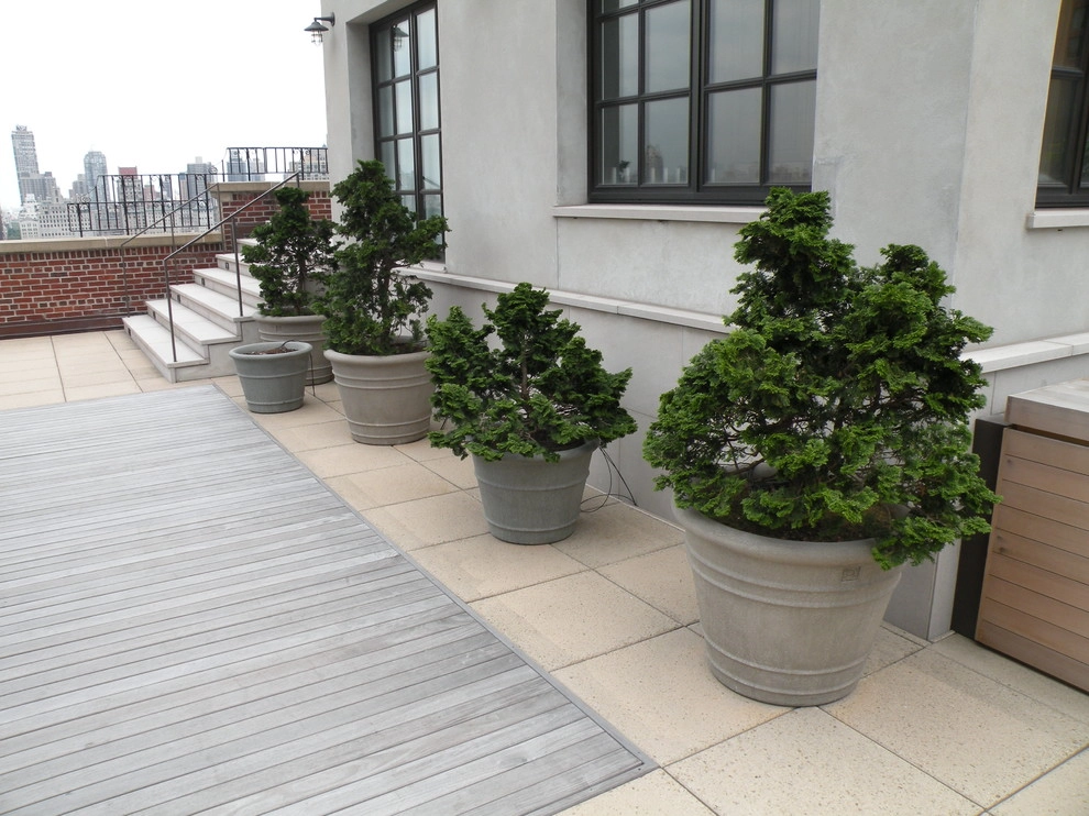 Contemporary Patio by Native Landscapes Inc - Photo 4