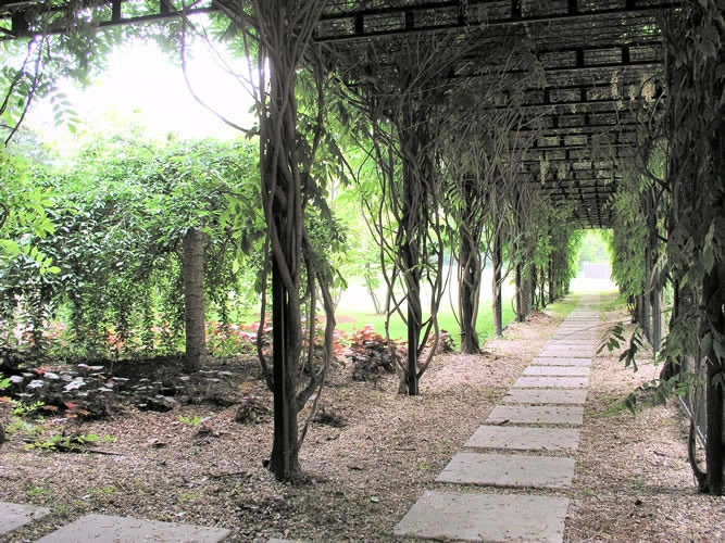 Paths & Walkways by Native Landscapes Inc - Photo 8