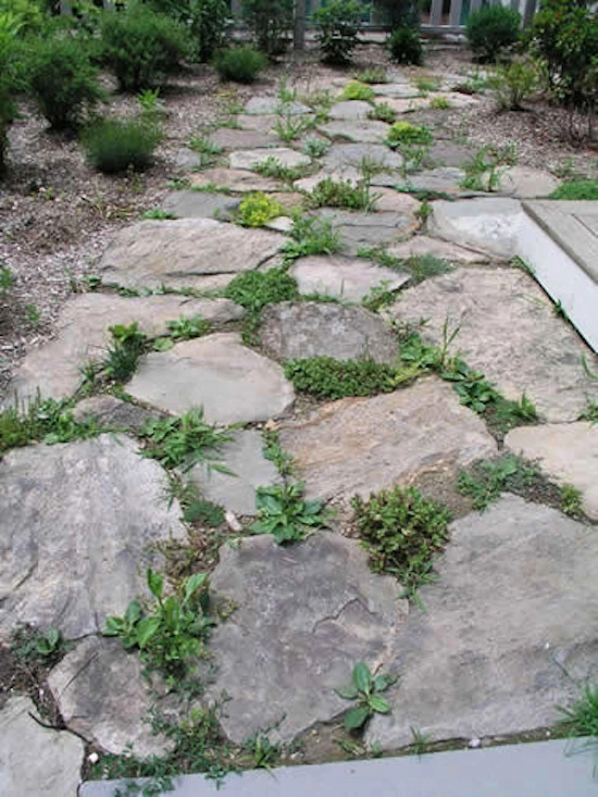 Paths & Walkways by Native Landscapes Inc - Photo 6