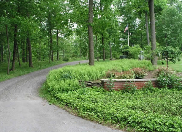 Onsite Design by Native Landscapes Inc - Photo 11