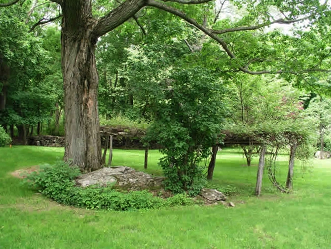 Onsite Design by Native Landscapes Inc - Photo 3