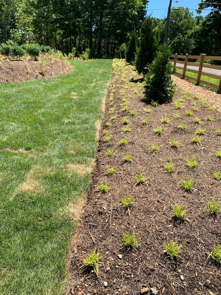 Lorton Front and Side Garden by Native Plant Landscape Design Corp - Photo 4