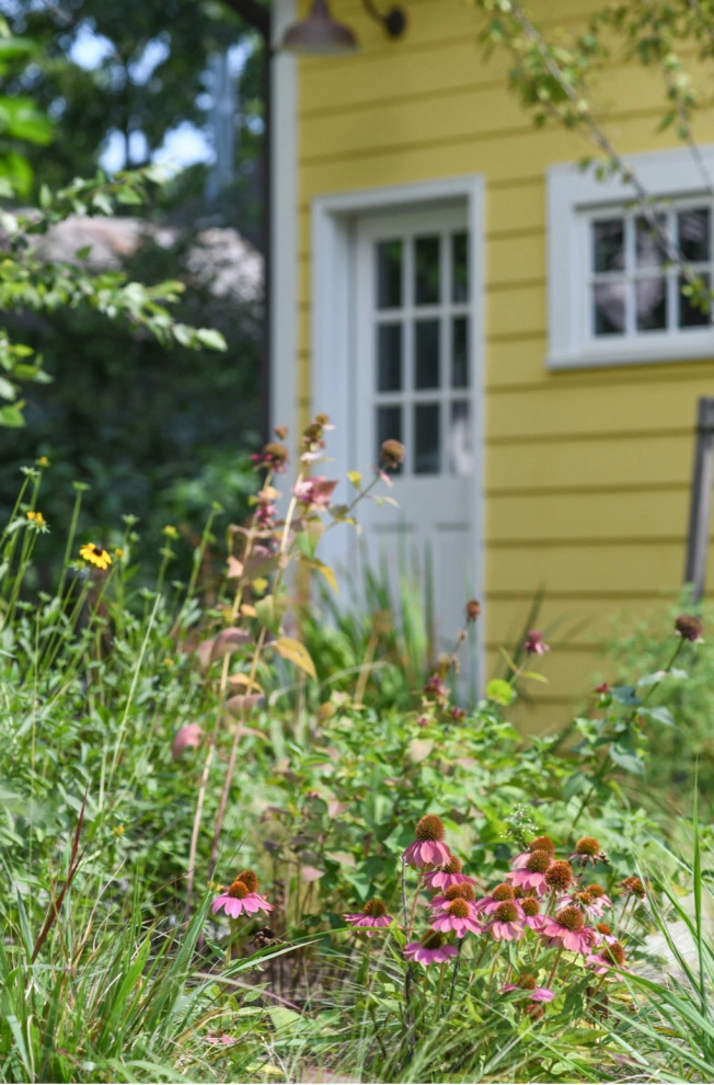 22nd St N Arlington, Va by Native Plant Landscape Design Corp - Photo 5