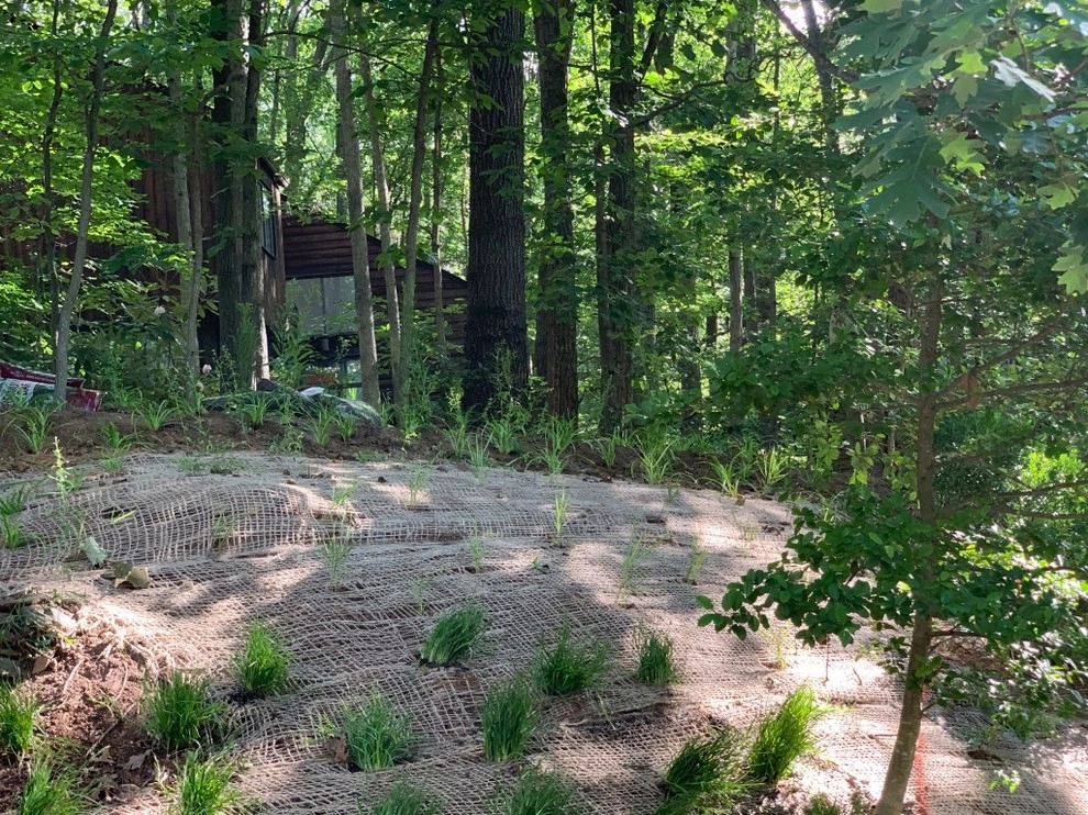 Reston Front Yard Garden by Native Plant Landscape Design Corp - Photo 3