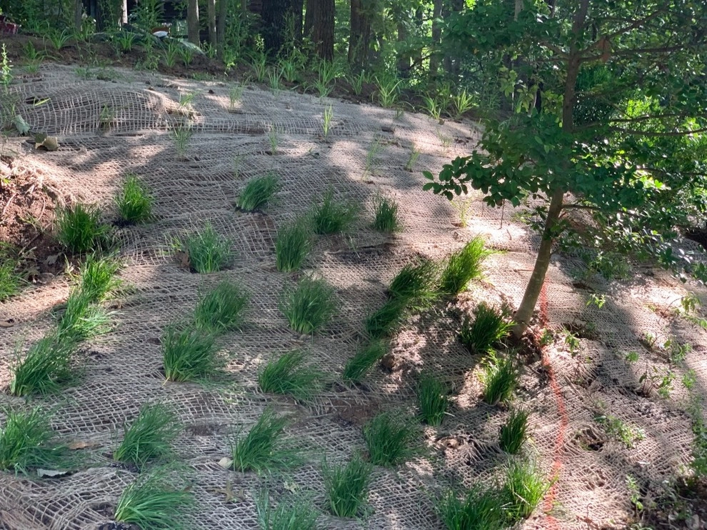 Reston Front Yard Garden by Native Plant Landscape Design Corp - Photo 10