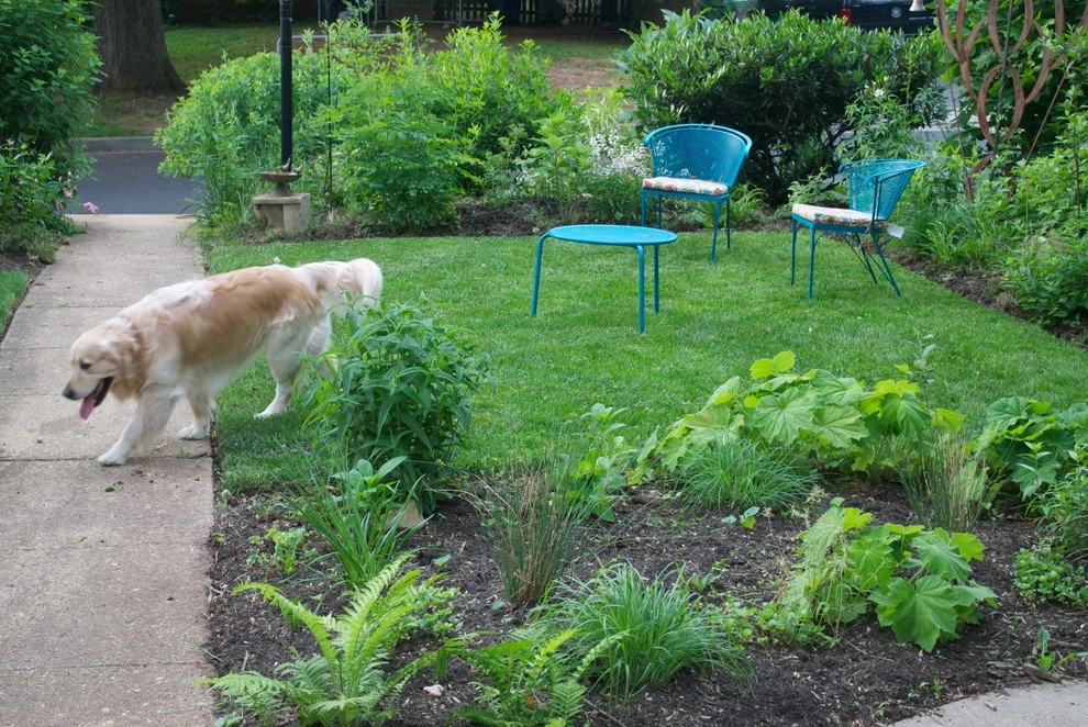 Native Plant Landscape Design Corp - Photo 10