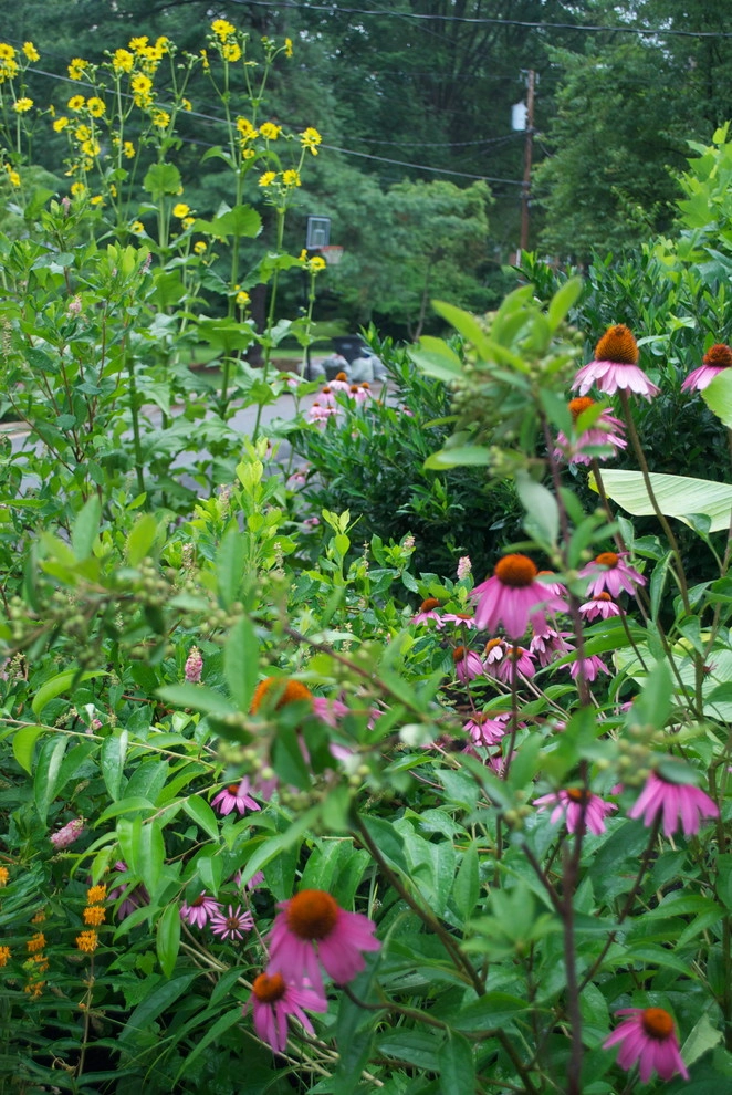 Native Plant Landscape Design Corp - Photo 6
