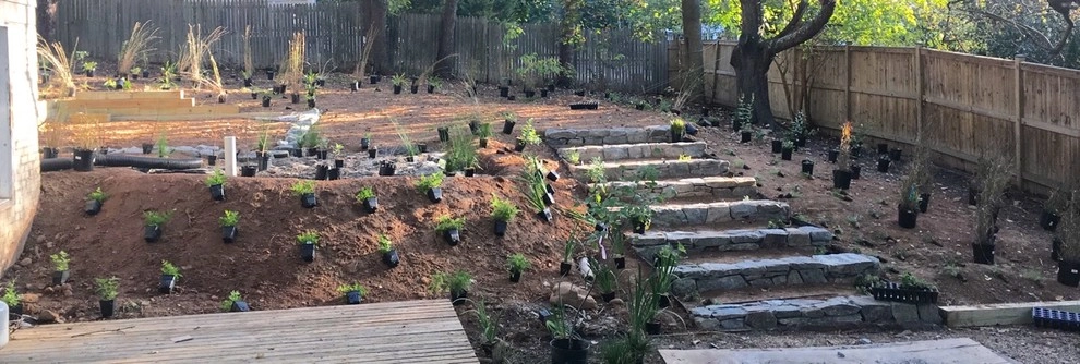 Falls Church Backyard by Native Plant Landscape Design Corp - Photo 4