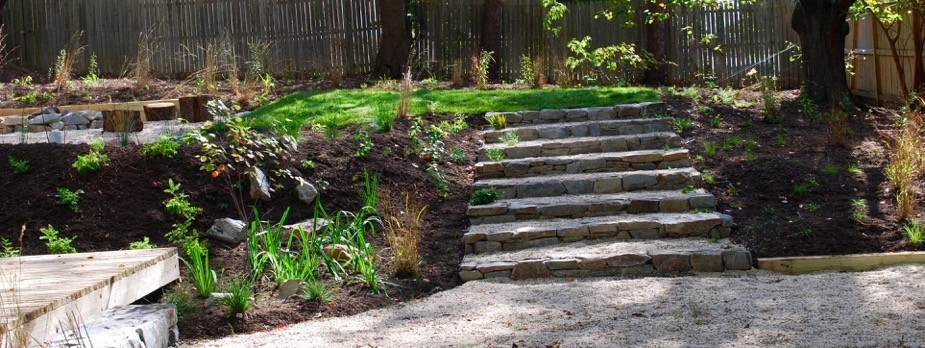 Falls Church Backyard by Native Plant Landscape Design Corp - Photo 12