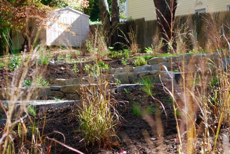 Falls Church Backyard by Native Plant Landscape Design Corp - Photo 21