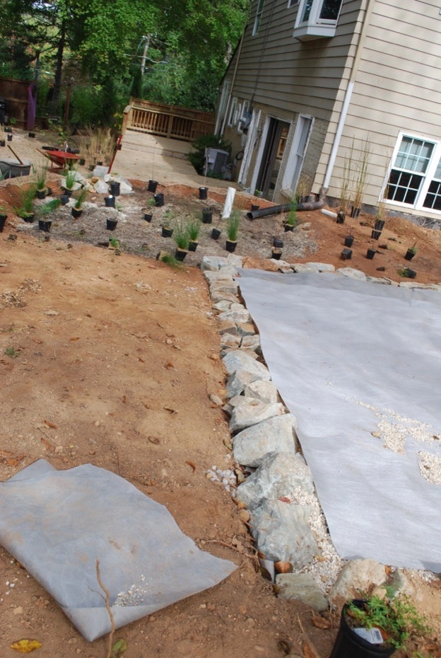 Falls Church Backyard by Native Plant Landscape Design Corp - Photo 27