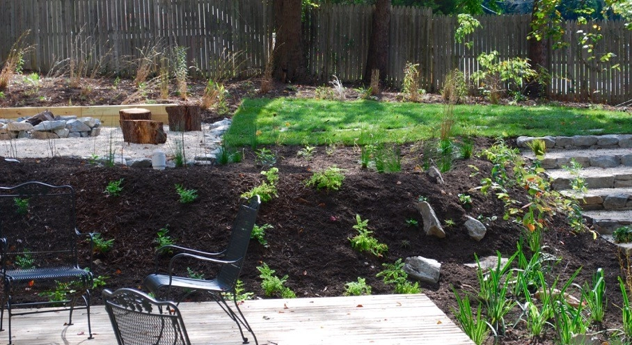 Falls Church Backyard by Native Plant Landscape Design Corp - Photo 15