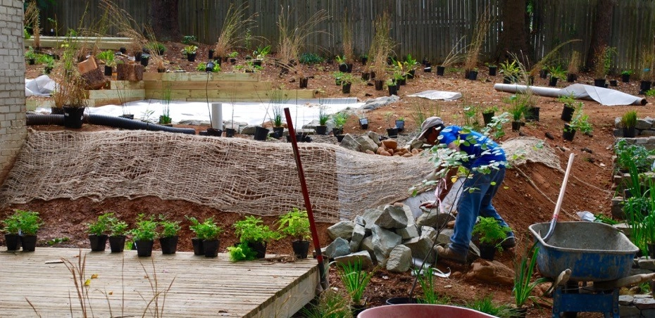 Falls Church Backyard by Native Plant Landscape Design Corp - Photo 13