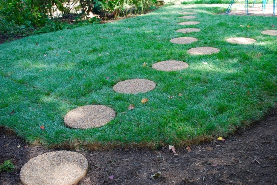 Falls Church Backyard by Native Plant Landscape Design Corp - Photo 20