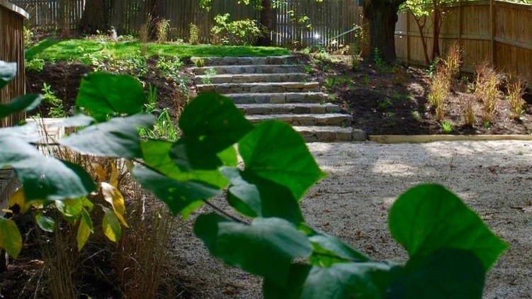 Falls Church Backyard by Native Plant Landscape Design Corp - Photo 6
