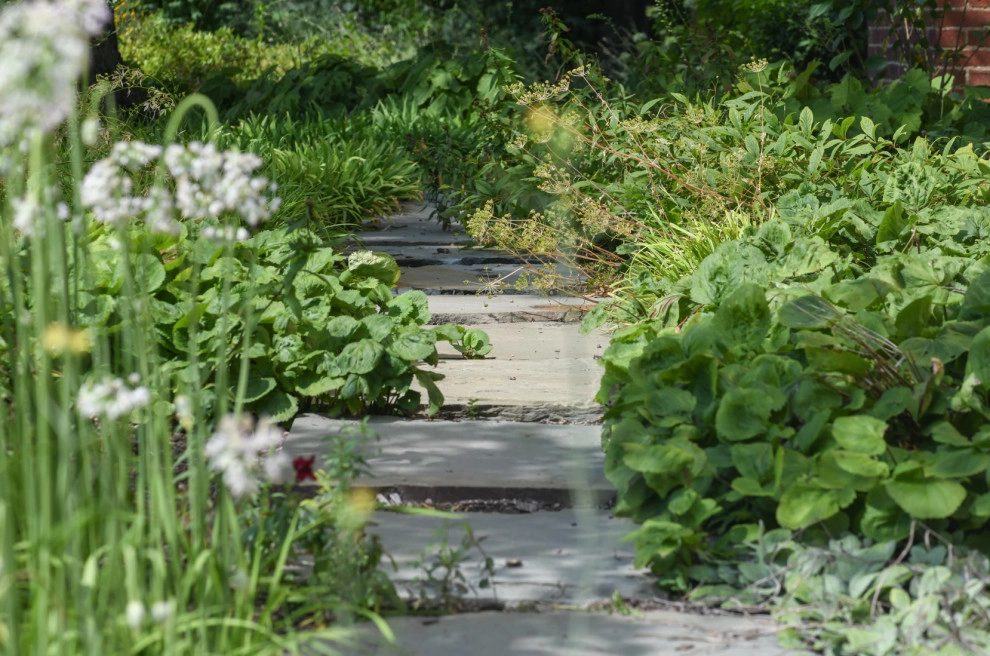 22nd St N Arlington, Va by Native Plant Landscape Design Corp - Photo 6