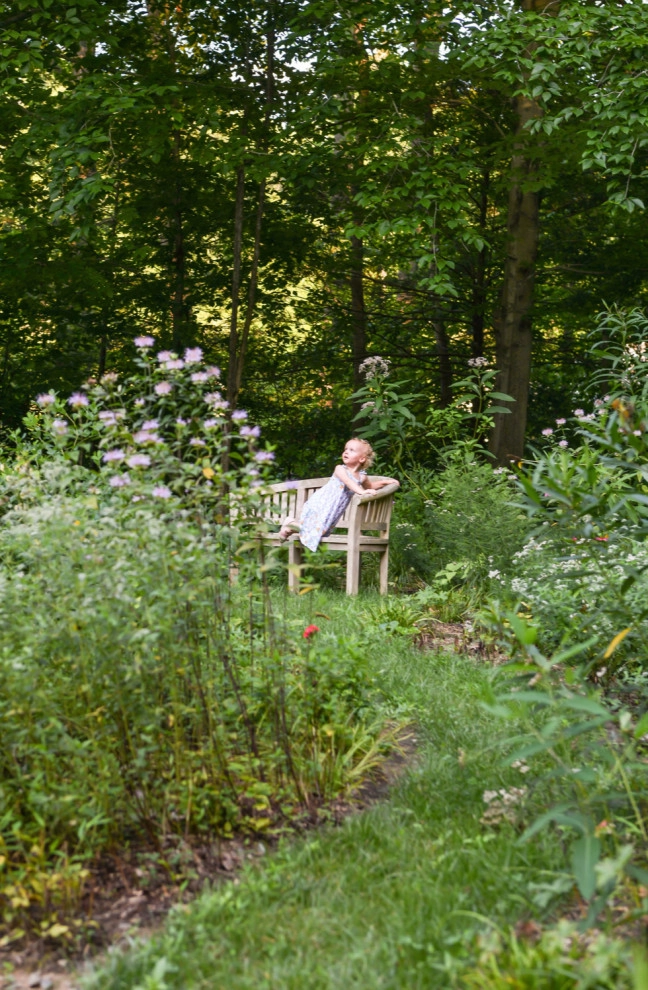 Pollinator Garden McLean, Va by Native Plant Landscape Design Corp - Photo 2