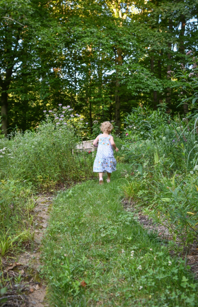 Pollinator Garden McLean, Va by Native Plant Landscape Design Corp - Photo 12