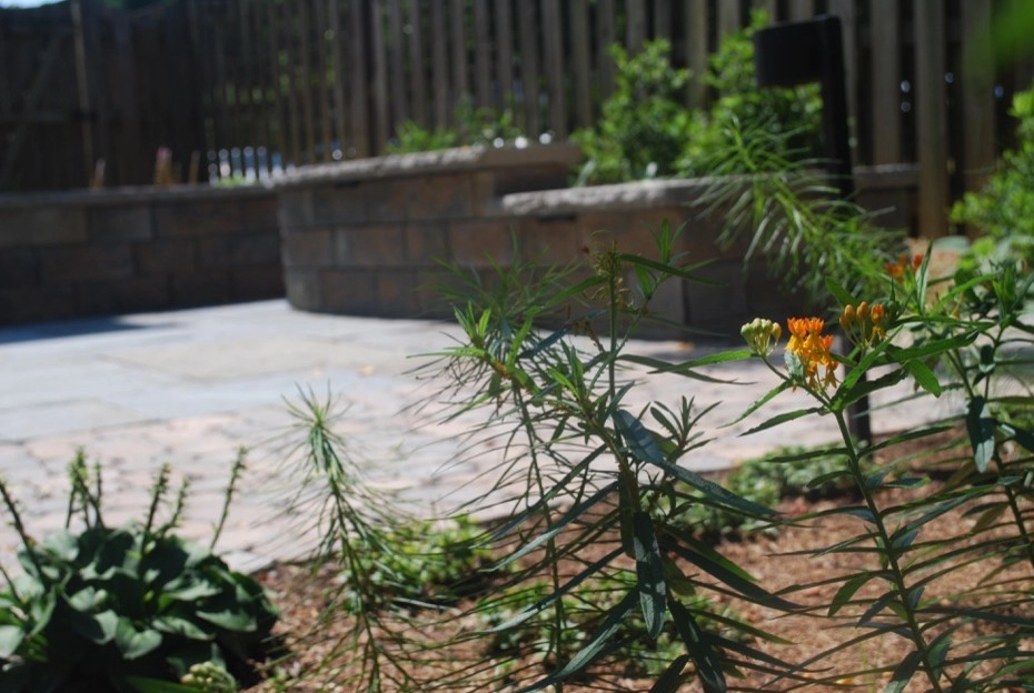 Circle Courtyard Design & Build | McLean Providence by Native Plant Landscape Design Corp - Photo 4