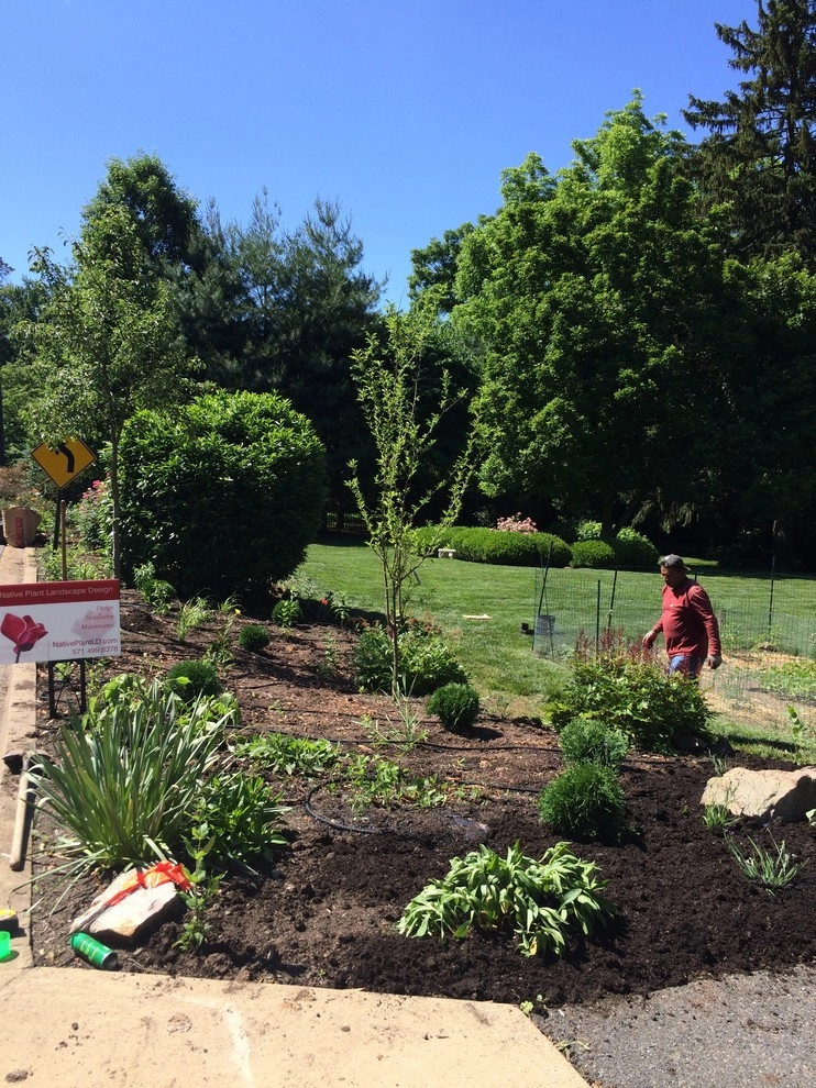 Side Yard Garden Design & Build | Falls Church VA by Native Plant Landscape Design Corp - Photo 11