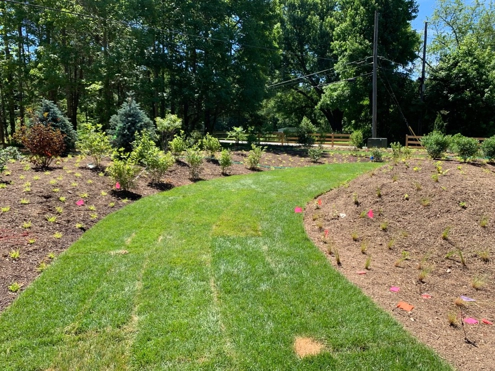Lorton Front and Side Garden by Native Plant Landscape Design Corp - Photo 8