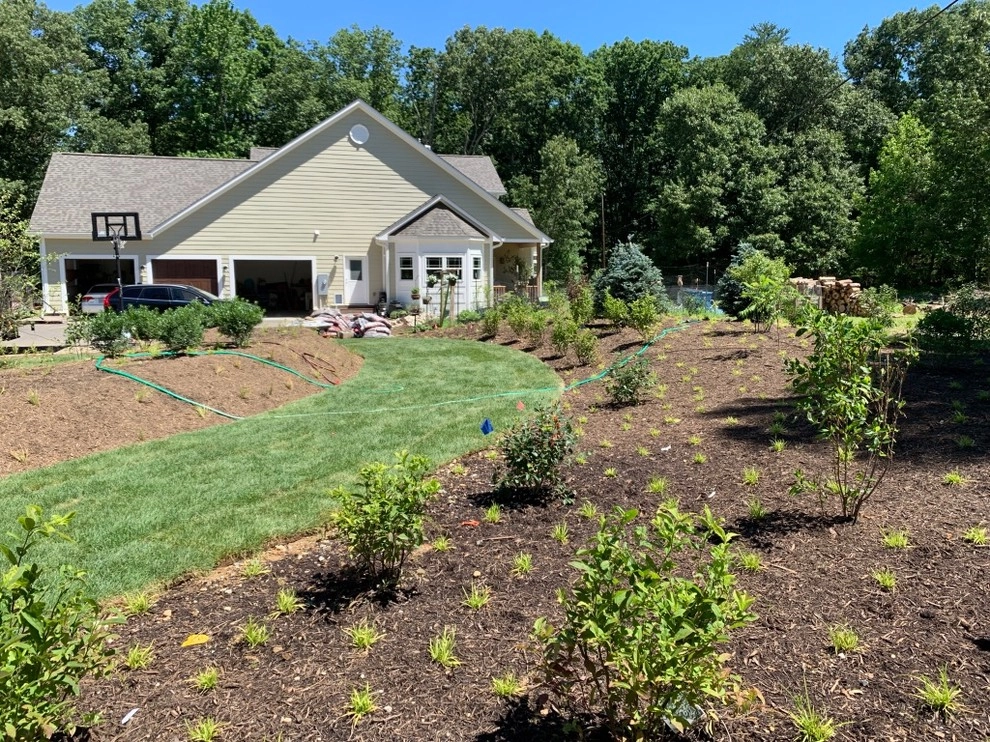 Lorton Front and Side Garden by Native Plant Landscape Design Corp - Photo 7