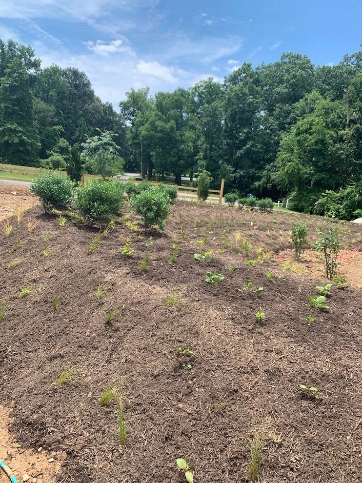 Lorton Front and Side Garden by Native Plant Landscape Design Corp - Photo 12
