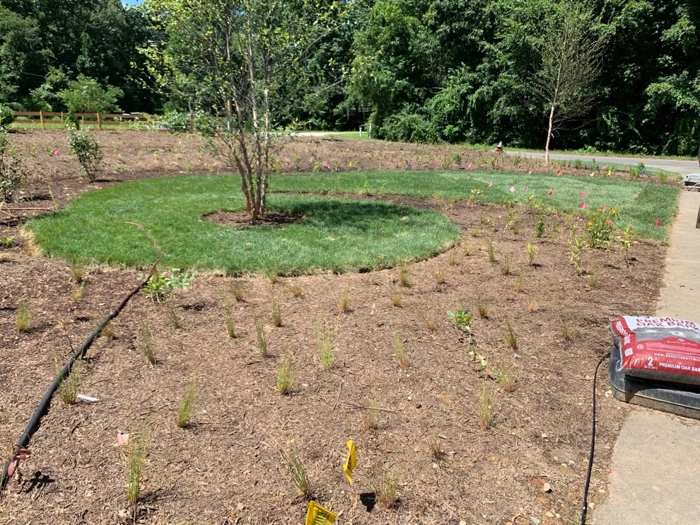 Lorton Front and Side Garden by Native Plant Landscape Design Corp - Photo 11