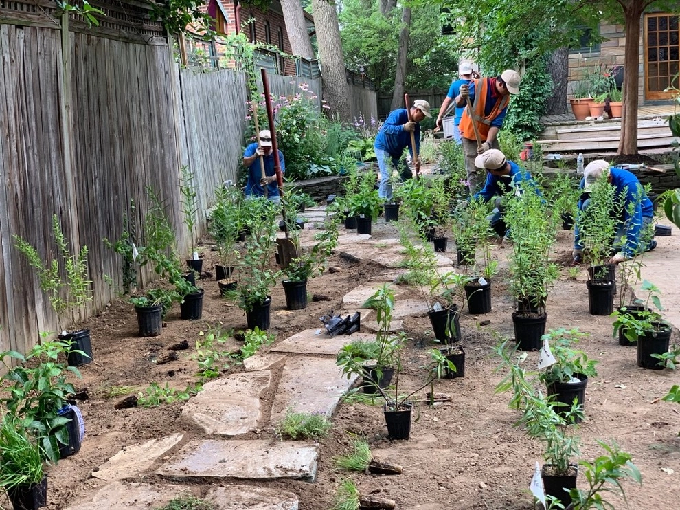 DeWitt St., Alexandria by Native Plant Landscape Design Corp - Photo 3