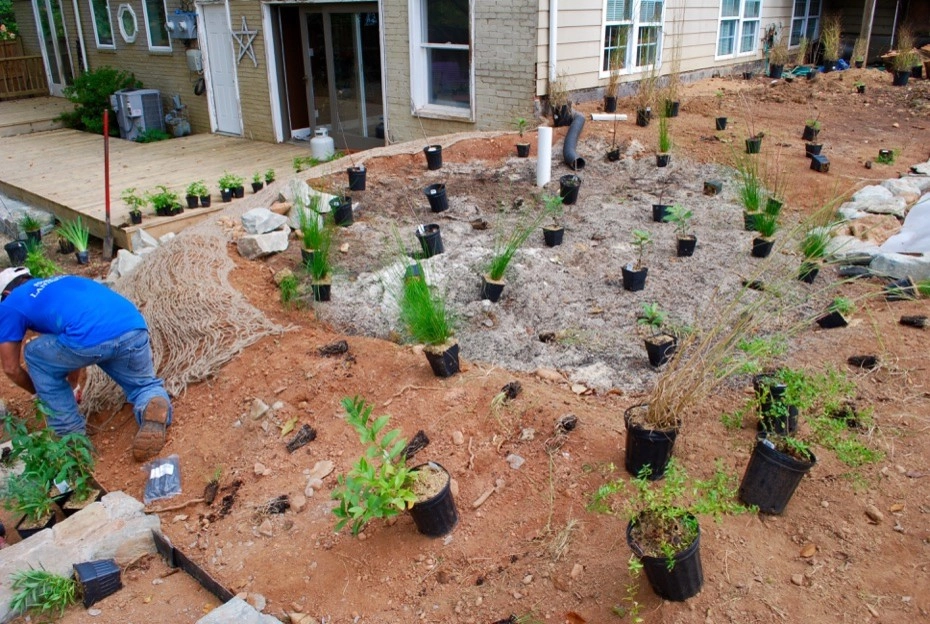 Falls Church Backyard by Native Plant Landscape Design Corp - Photo 26