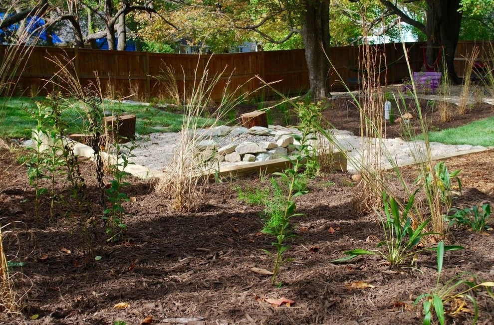 Falls Church Backyard by Native Plant Landscape Design Corp - Photo 17