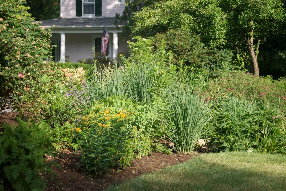 Side Yard Garden Design & Build | Falls Church VA by Native Plant Landscape Design Corp - Photo 6